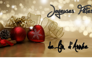 Joyeuses fêtes de fin d année !!
