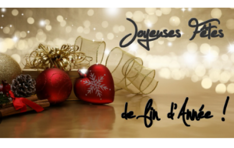 Joyeuses fêtes de fin d année !!